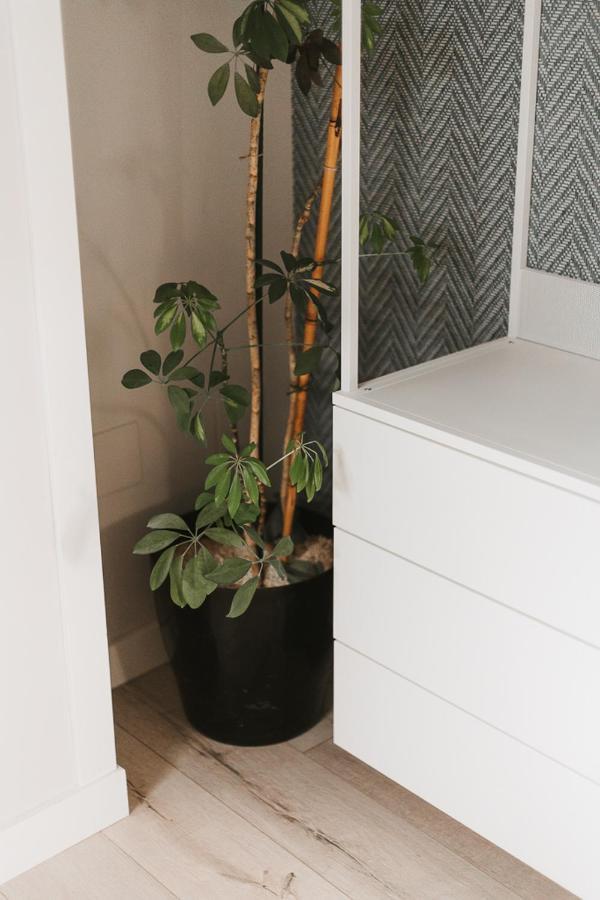 Mk77 Leon - Atiko Apartment Bagian luar foto